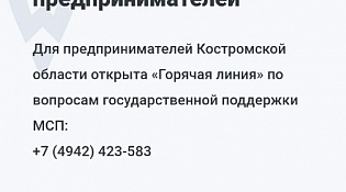 Горячая линия для поддержки бизнеса